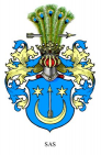  : sas11.jpg