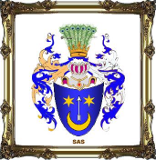  : sas1.jpg