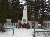  : CIMG0905.JPG