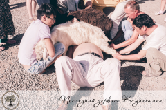 biafatima15.jpg, 521016 