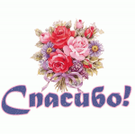  : 7167721.gif