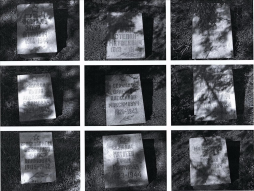 fullimage5.jpg, 419413 