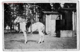  :   1917  ..jpg
