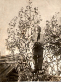  : 1940.jpg
