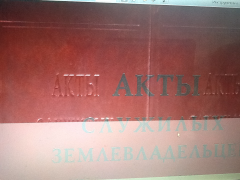  : image.jpeg