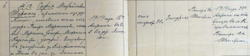 sofija_serniene_1914_original_ .jpg, 380067 