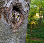 ������������� ����: ����.jpg