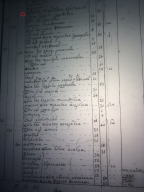  :  1765 (2).JPG