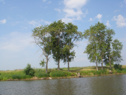  : DSC04187.JPG