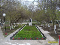  : normal_S8000128.jpg