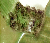  :   (Pruszcz).jpg
