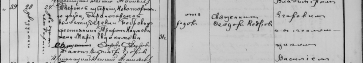  : record-image_3QS7-L96B-Y6BL.jpg