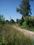 8.jpg, 81017 