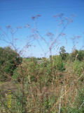 24.jpg, 65732 