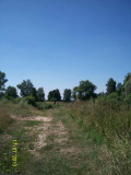 26.jpg, 59577 