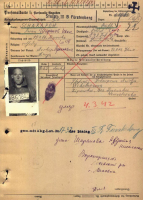 filterimage1.jpg, 385114 