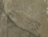 Scan_3__.jpg, 10014 