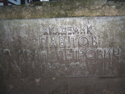  : 100_2562.JPG