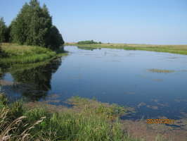  : IMG_0418.JPG