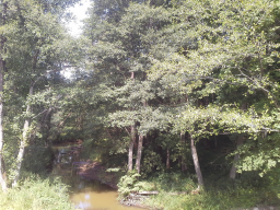 ������������� ����: 32 20140829_153730.jpg