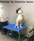  : imageCANXM2KI.jpg