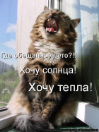  : dHzY2s1yH1.jpg