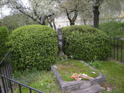  : DSCN6249.JPG