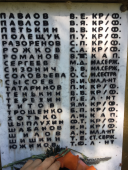 IMG_2478.JPG, 345443 