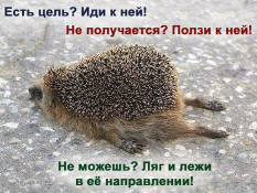  : celj.jpg