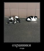 : 498897_ohranniki-_demotivators_to.jpg