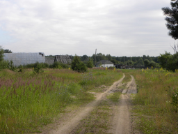  13.jpg, 250625 