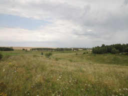 NYgT4Y-lXXE.jpg, 230431 
