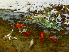  : 1355153179-0901011-www.nevsepic.com.ua.jpg