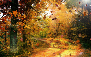 scenery-amazing-pictures.jpg, 1453625 
