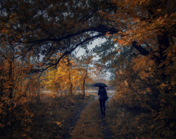  : tmb_114087_7312.jpg