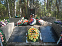  : DSCN2906.JPG