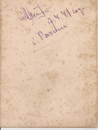  : Image-0006.png