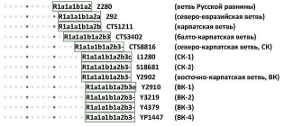  : veneti-diagr-2.jpg