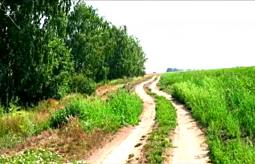 08.jpg, 208020 