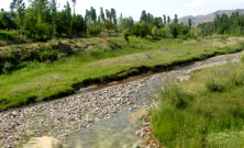 Malenkayar_4802006_11523073.jpg, 129954 