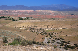  : DSC_1238.JPG