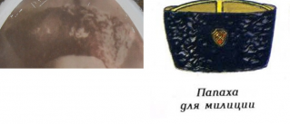  :    1 1928 .jpg