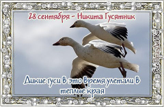 28  .jpg, 56915 