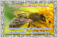 10  .jpg, 71793 