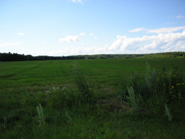 P1010199.JPG, 174060 
