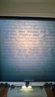 WP_20171117_154.jpg, 2111188 