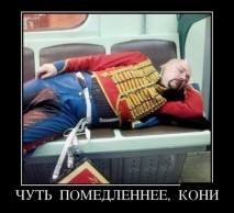  : .jpg