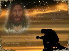 ������������� ����: 17247170.png