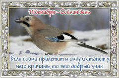 11.jpg, 54029 