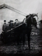  :    . 1917 .jpg